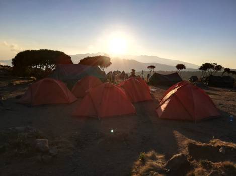 Shira camp op de Kilimanjaro